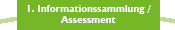 1. Informationssammlung